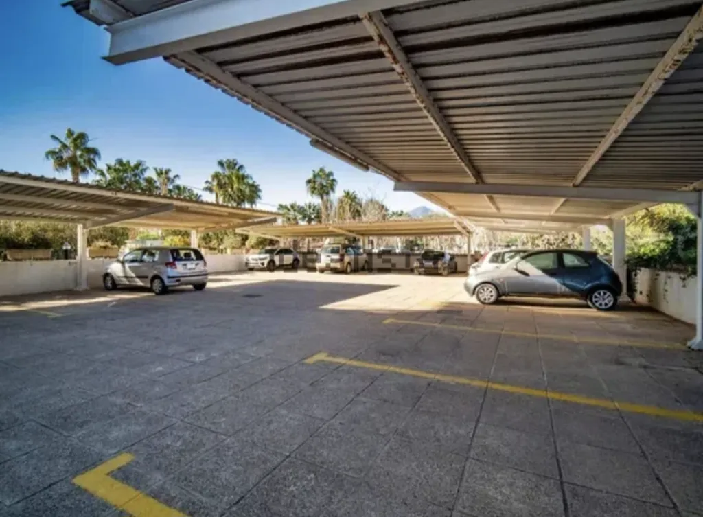 WhatsApp Image 2026-03-11 at 8.41.39 AM.webp